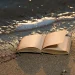 C Wet Book Water Damage Hand Wiping