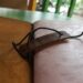 Leather Bound Travel Diary With Tag